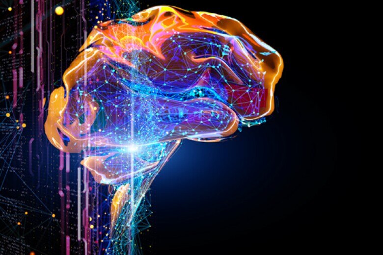 graphic of a human brain illuminated in bright colors