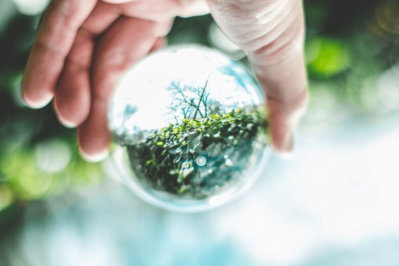 plants growing inside a glass sphere