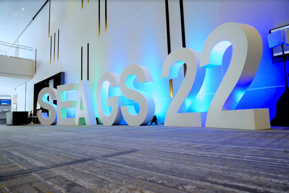 SEAGS 22 display