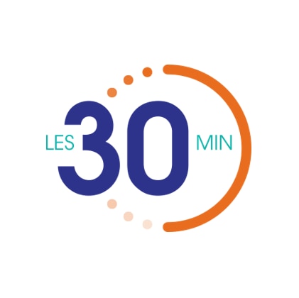 Les 30' InterSystems logo