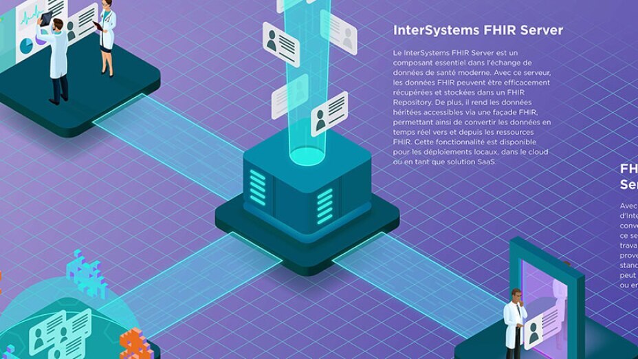 FHIR-Infographic-Part-2 Preview FR
