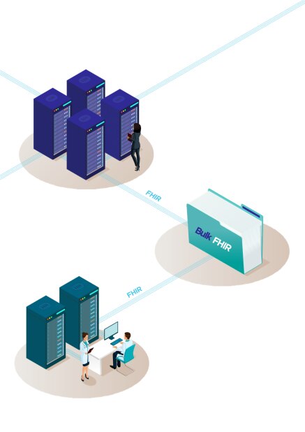 FHIR Server Bulk FHIR