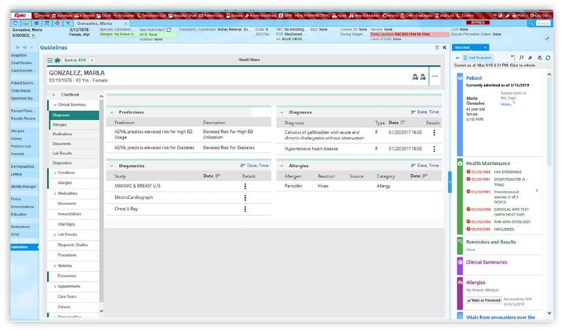Sample Screen Capture of HealthShare Analytics - EMR