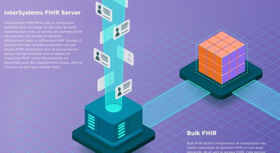 Infographie : FHIR Server