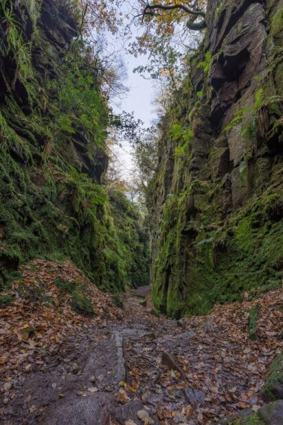 chasm between moss-covered rocks in a forest in autumn
