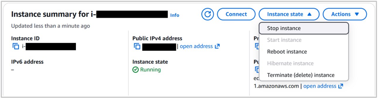 intersystems iris community edition cloud terminate instance