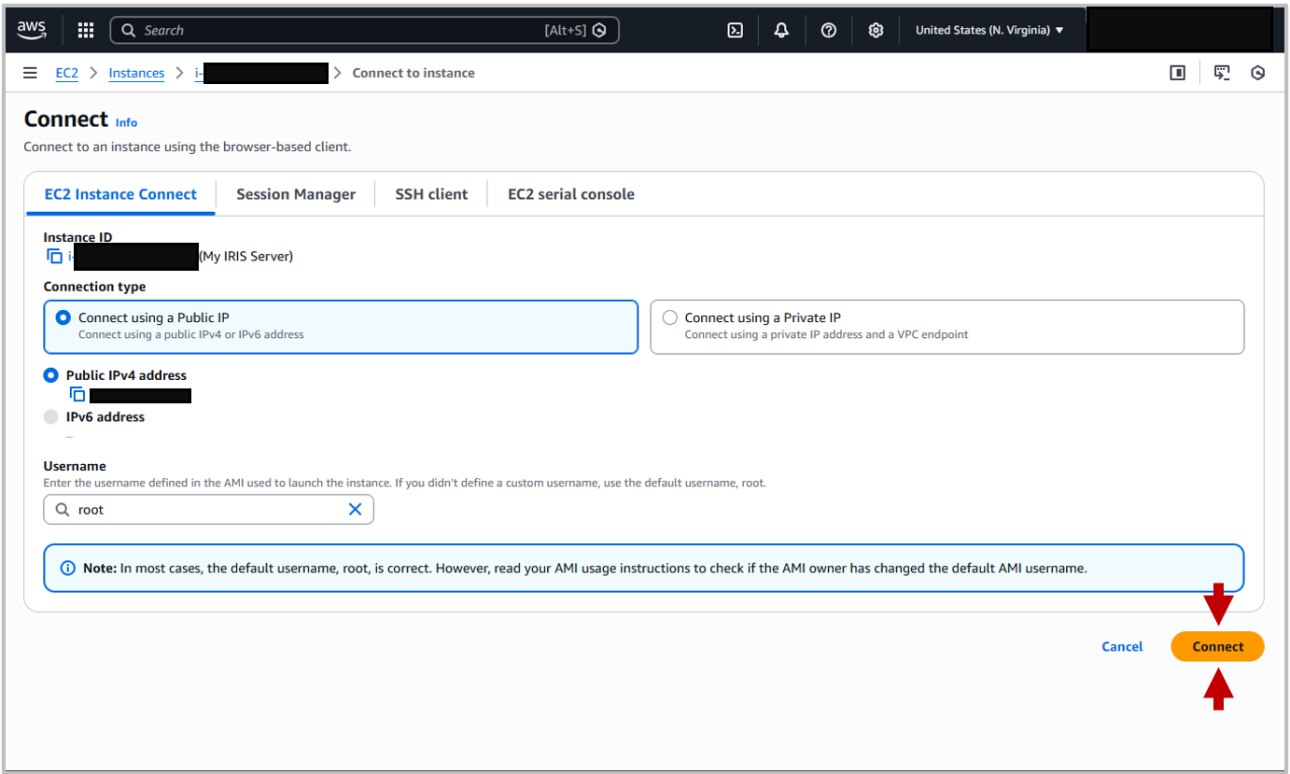 Screenshot of EC2 Instance Connect portal