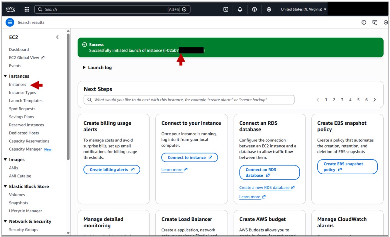 Screenshot showing how to navigate to the instance summary after launching an instance