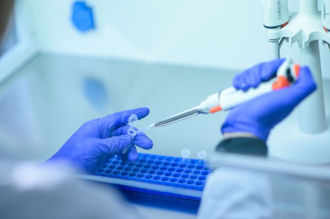 gloved hands preparing a sample for testing in a medical laboratory