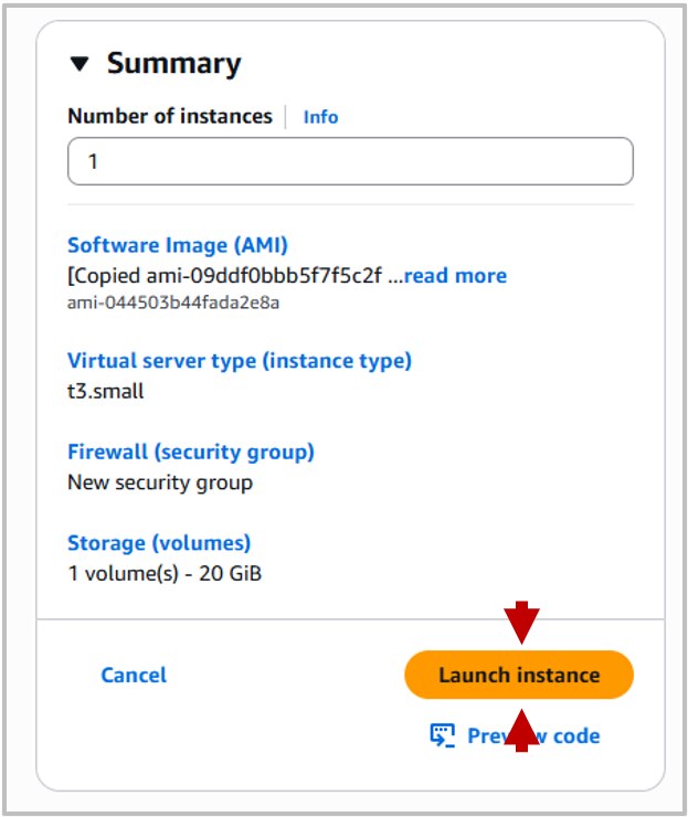 Screenshot of EC2 console Summary and Launch button