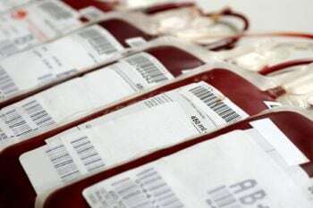 bags of donated blood