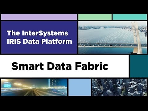 A Technical Overview of a Smart Data Fabric