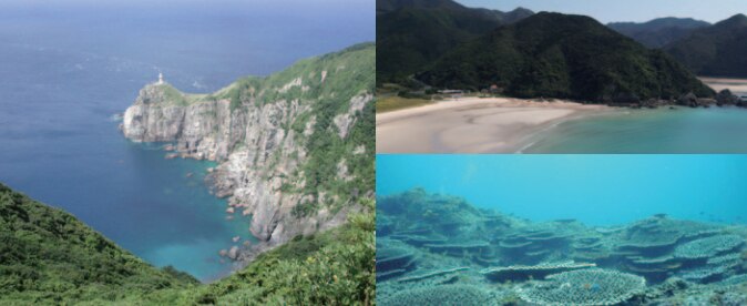 Goto Island 