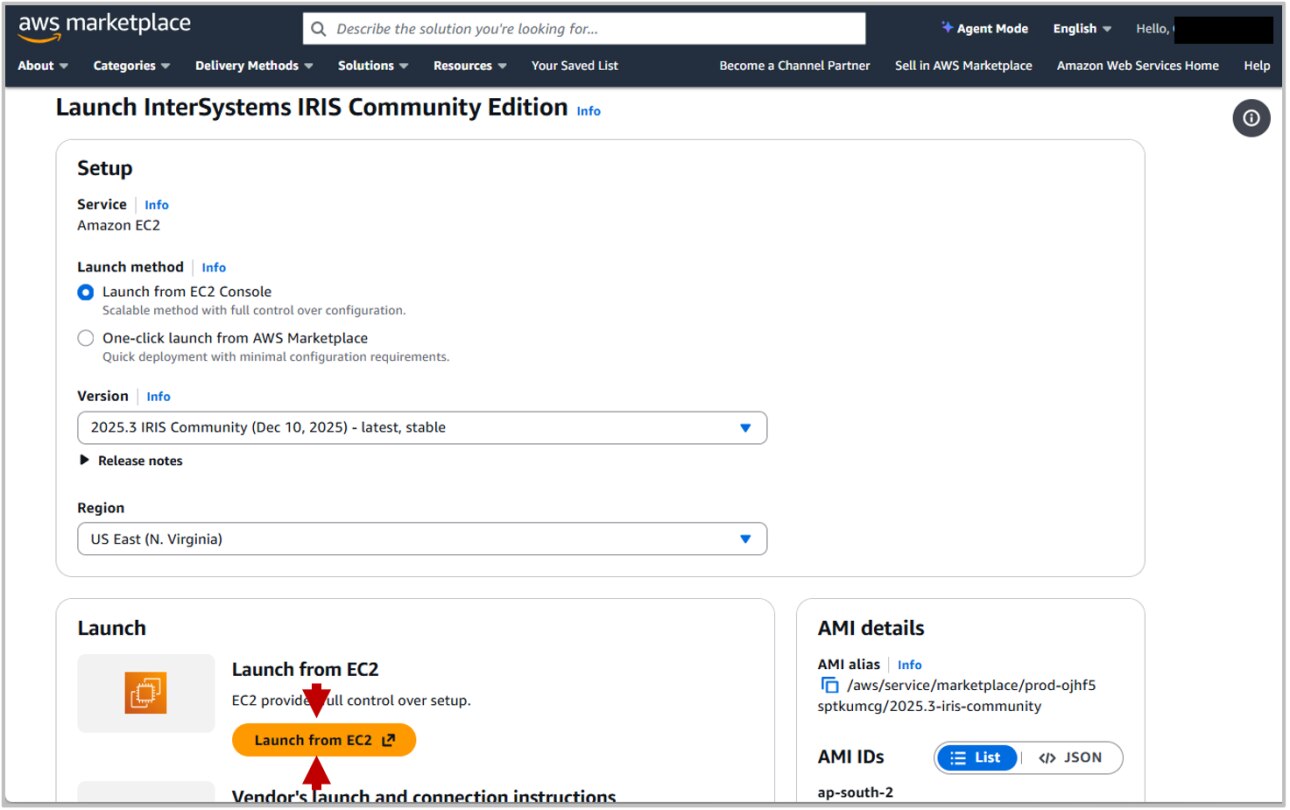 InterSystems IRIS community edition launch configuration