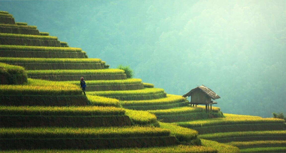 person exploring a terraced field in China